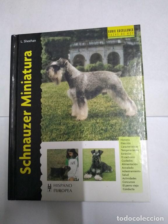 Libros: Schnauzer Miniatura - L. Sheehan - Foto 1