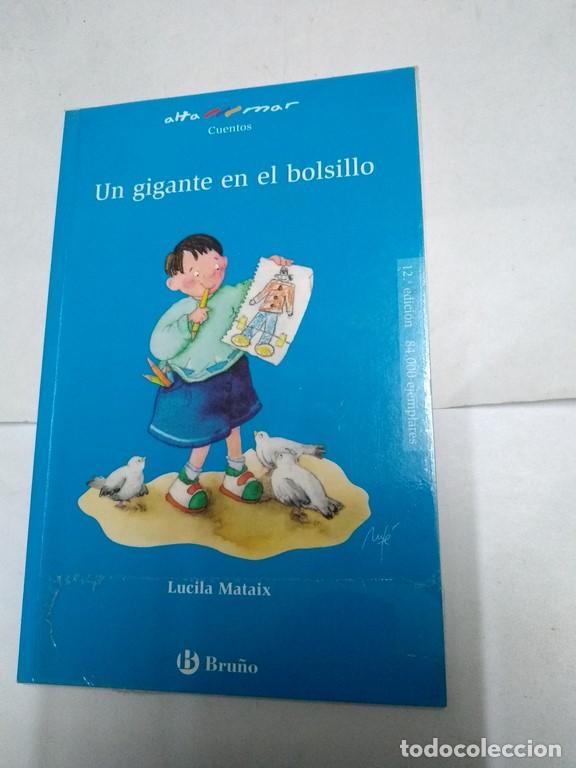 Libros: Un gigante en el bolsillo - Lucila Mataix - Foto 1