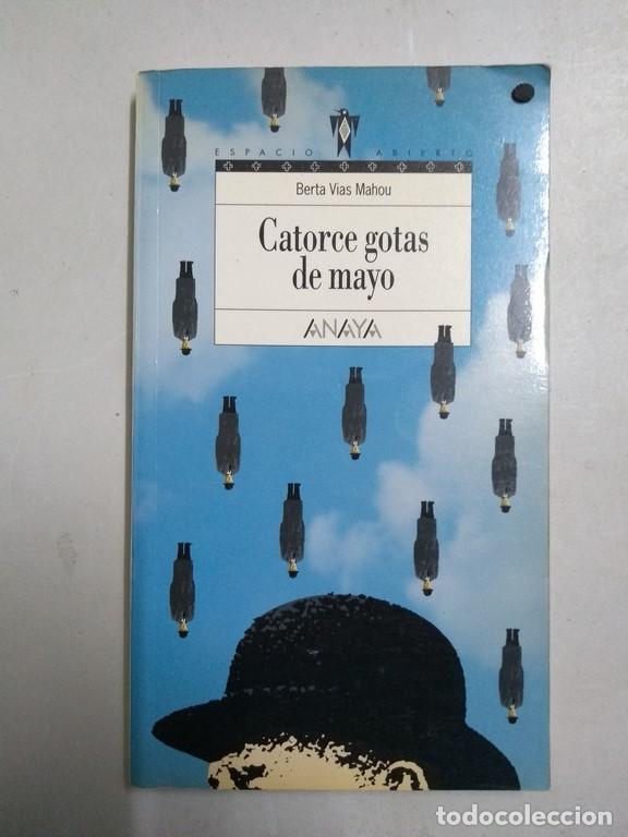 Libros: Catorce gotas de mayo - Berta Vias Mahou - Foto 1
