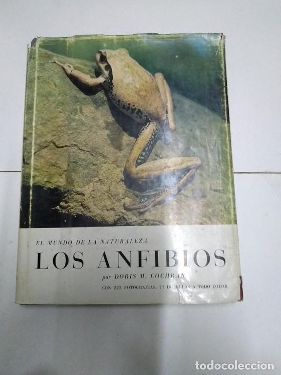 Libros: Los anfibios - Doris M. Cochran - Foto 1