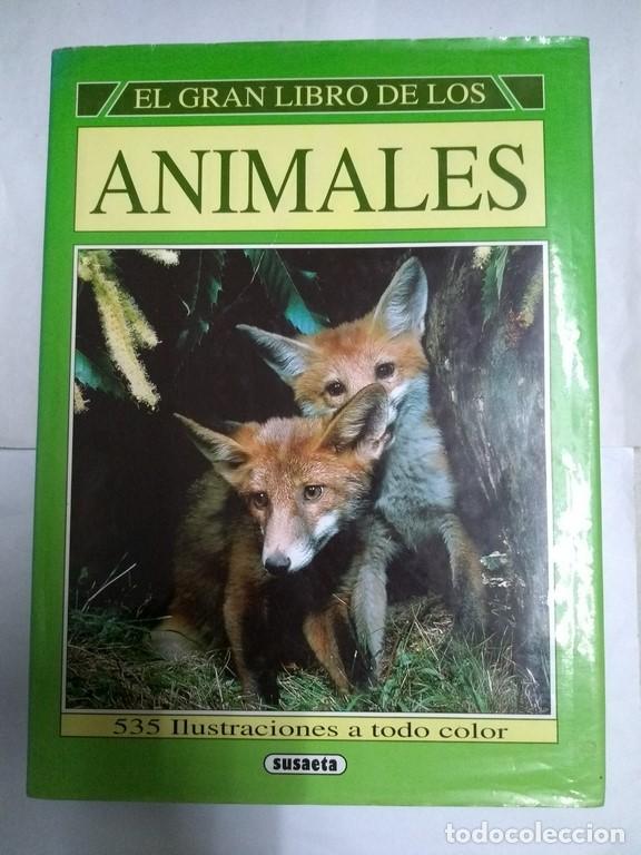Libros: El gran libro de los animales - Jana Hor&aacute;ckov&aacute; - Foto 1