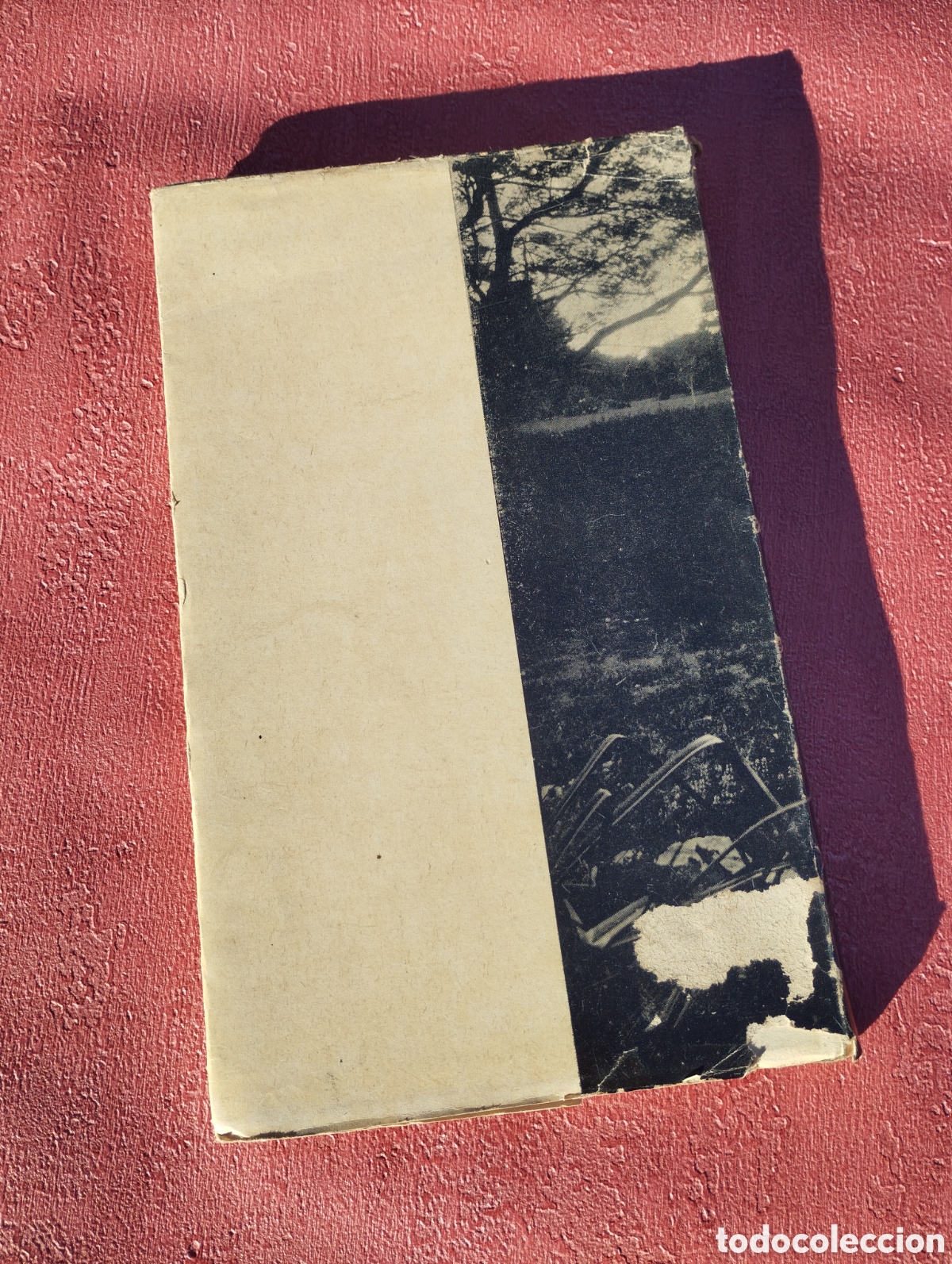Libros: Tagore en las barrancas de San Isidro. Victoria Ocampo. - Foto 2