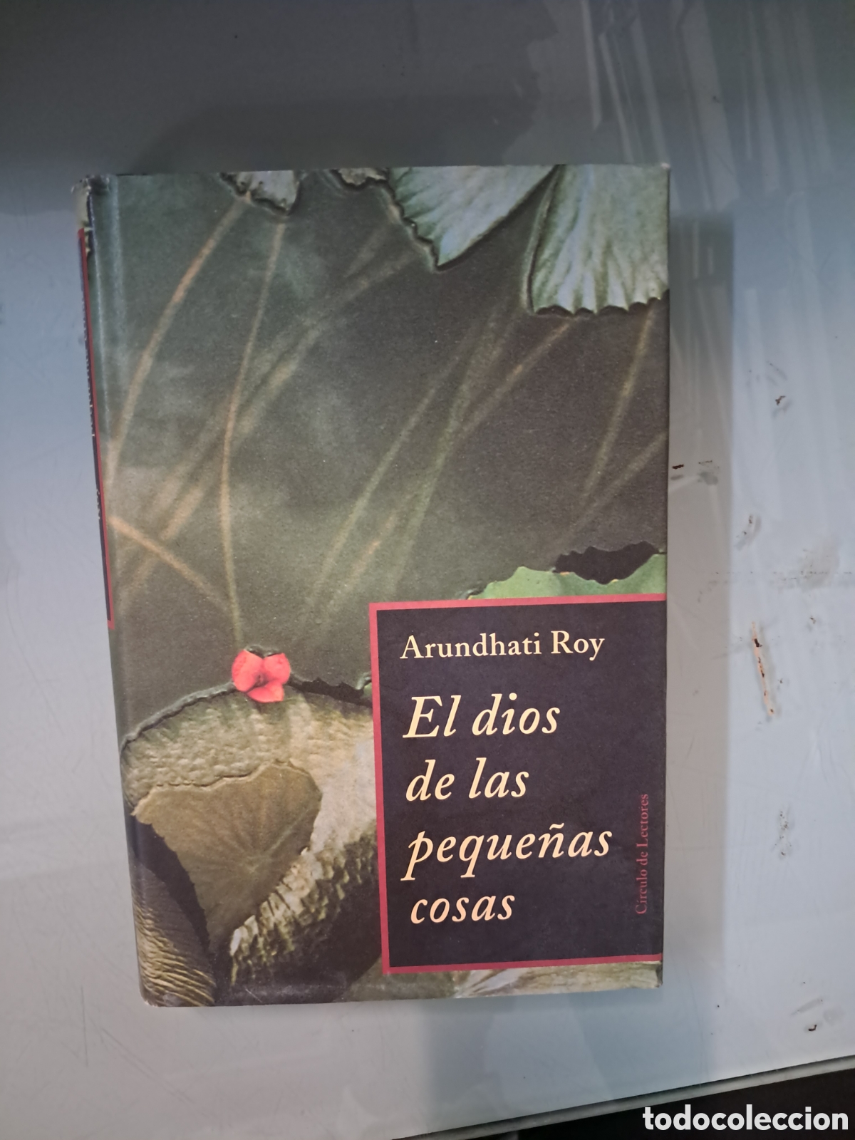 Libros: Arundhati Roy, El dios de las peque&ntilde;as cosas, C&iacute;rculo de Lectores - Foto 1