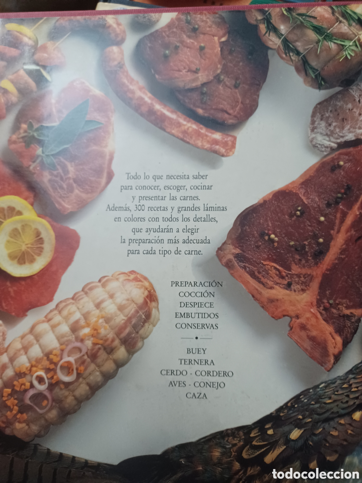 Libros: Barybook 301. En el libro de la carne Giuliana bonomo - Foto 2