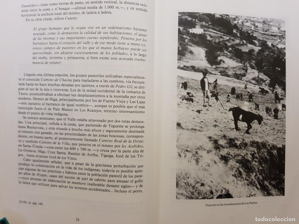 Libros: HIGA - M. RODR&Iacute;GUEZ MESA - A&Ntilde;O 1987 (ILUST) - Foto 9