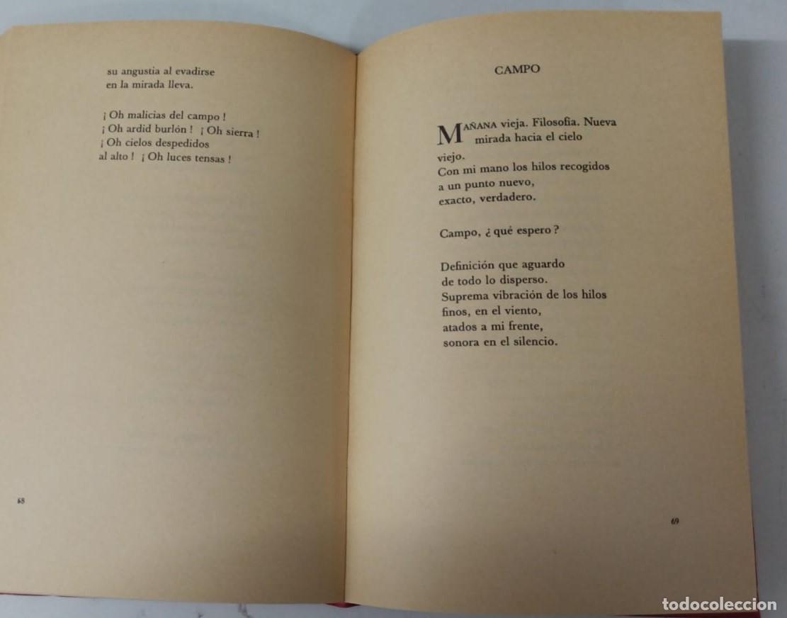 Libros: &Aacute;mbito. Litoral - Aleixandre, Vicente - Foto 3