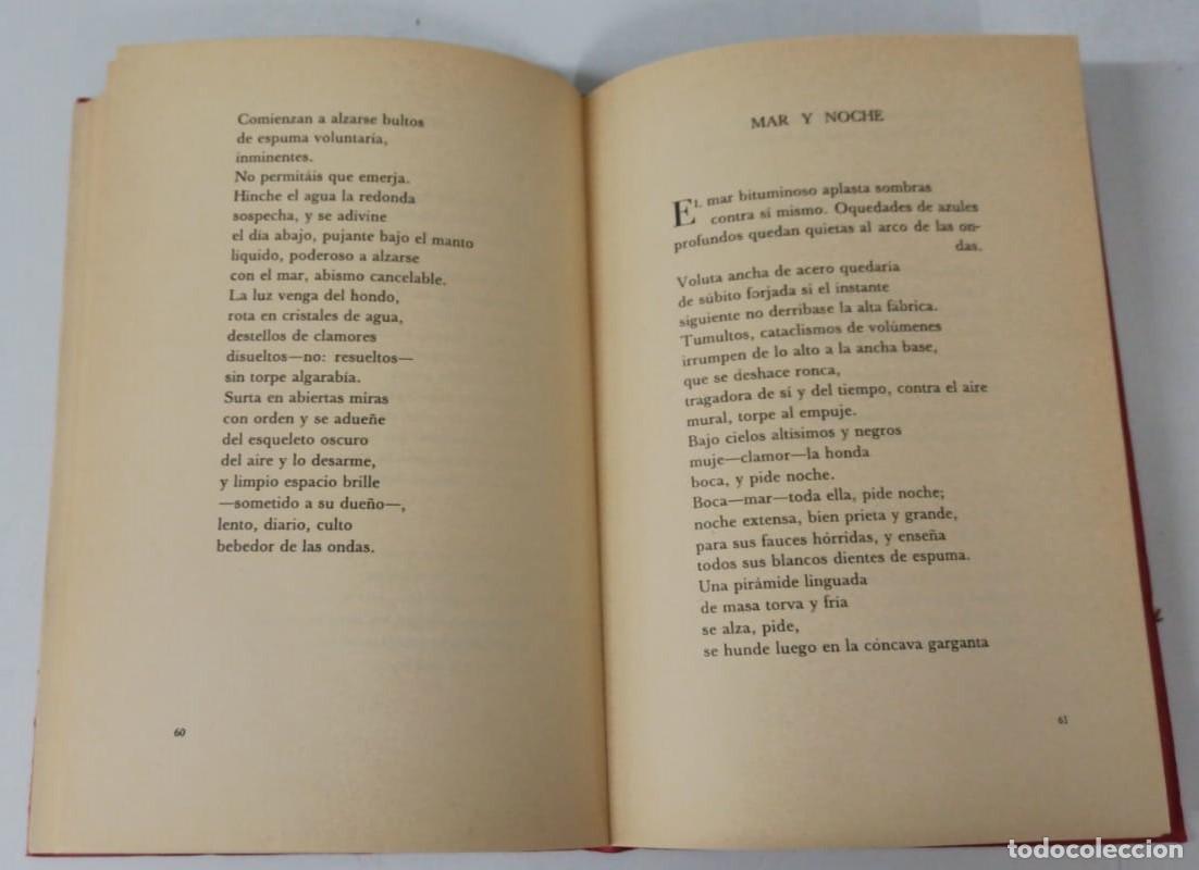Libros: &Aacute;mbito. Litoral - Aleixandre, Vicente - Foto 2