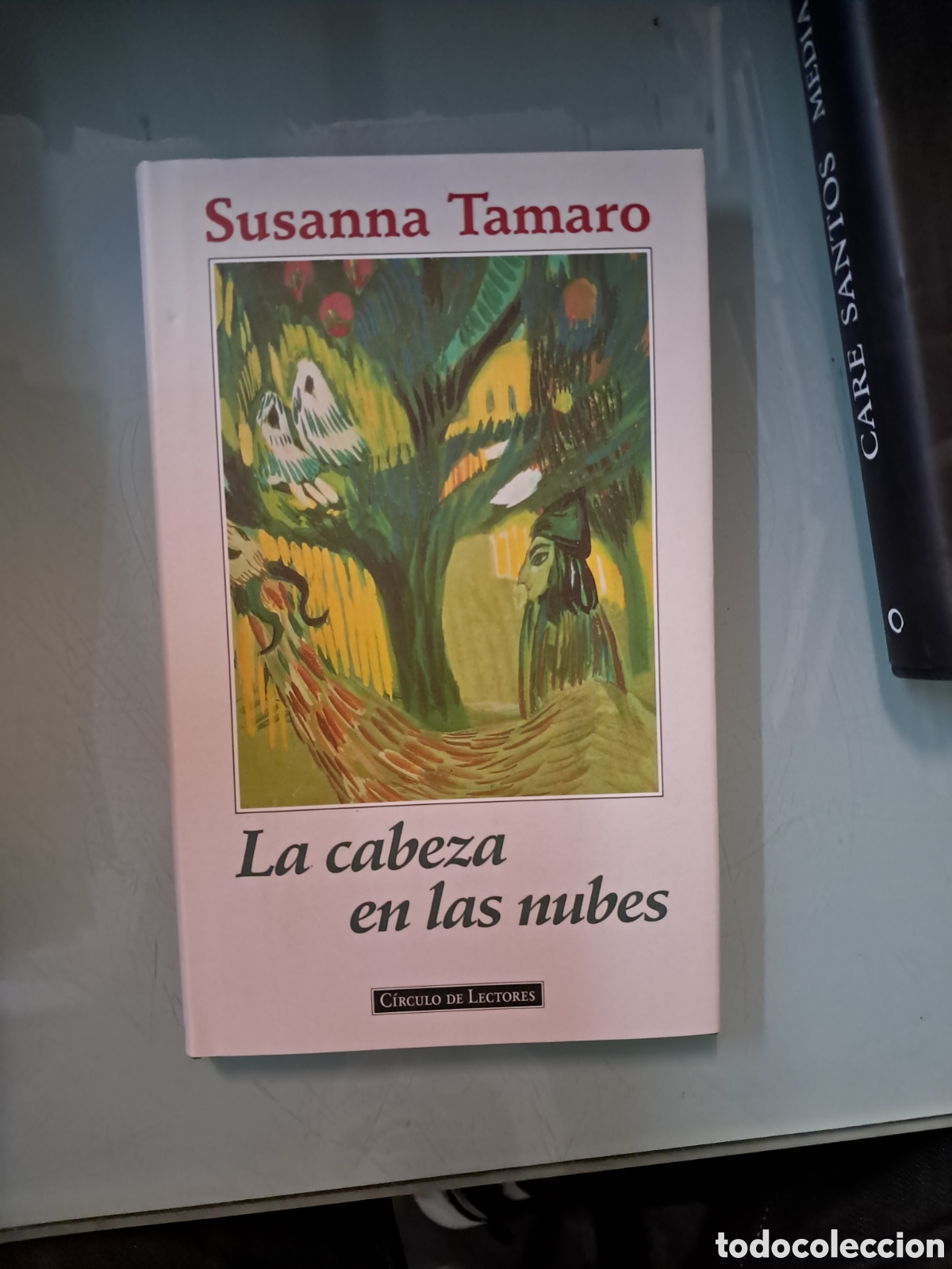 Libros: Susana Tama&ntilde;o, La cabeza en las nubes, C&iacute;rculo de Lectores - Foto 1