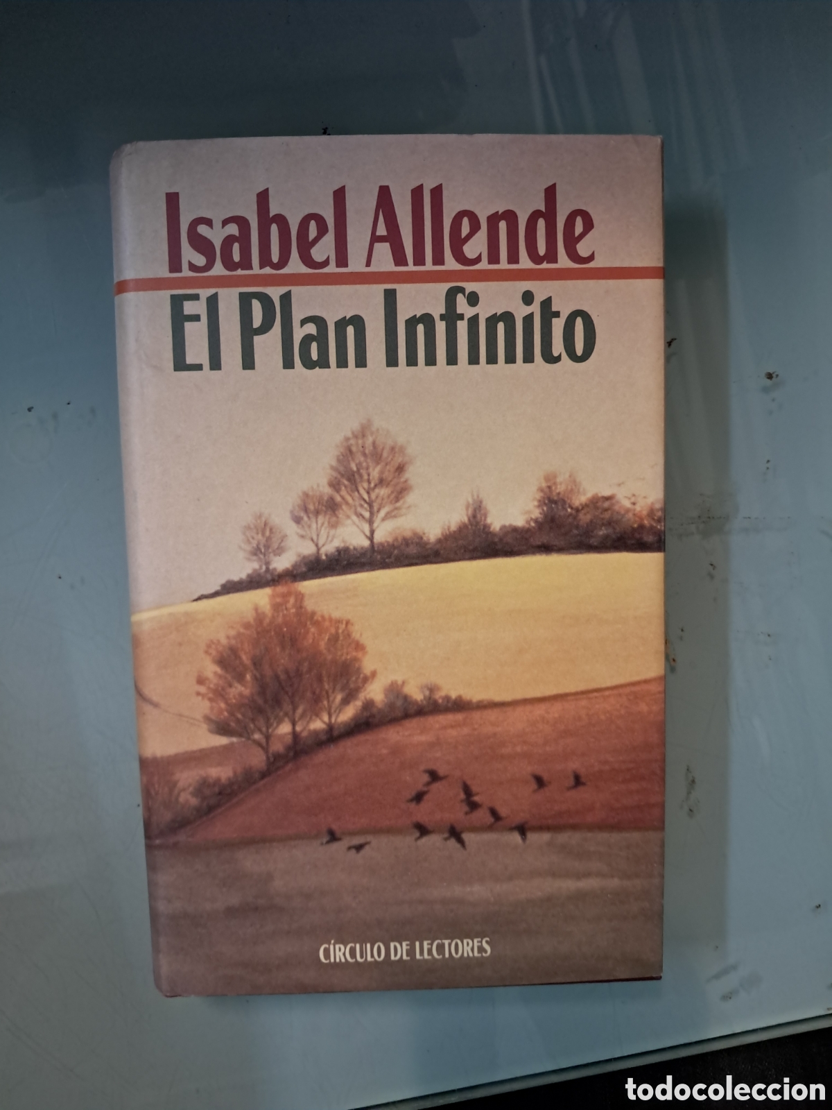 Libros: Isabel Allende, El.plan infinito, C&iacute;rculo de Lectores - Foto 1