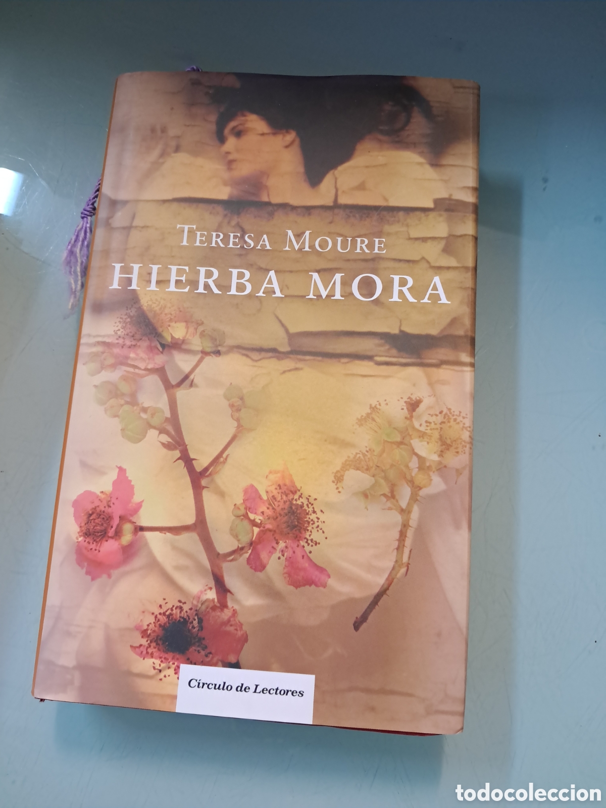 Libros: Teresa Moure, Hierba mora, C&iacute;rculo de Lectores - Foto 1