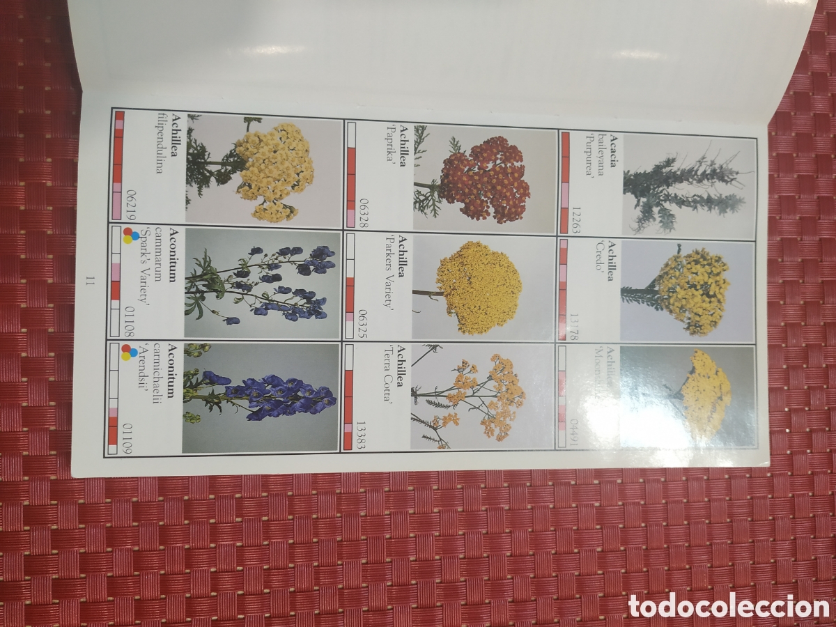 Libros: Flores cortadas 2000/01 - Foto 4