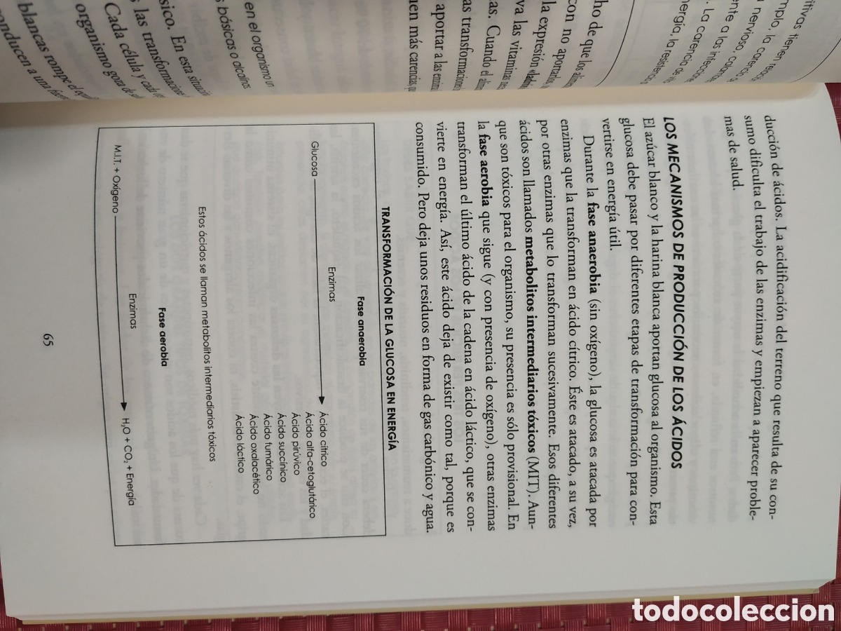 Libros: Az&uacute;car y salud. Diferenciar los az&uacute;cares buenos de los malos. Christopher Vasey - Foto 3