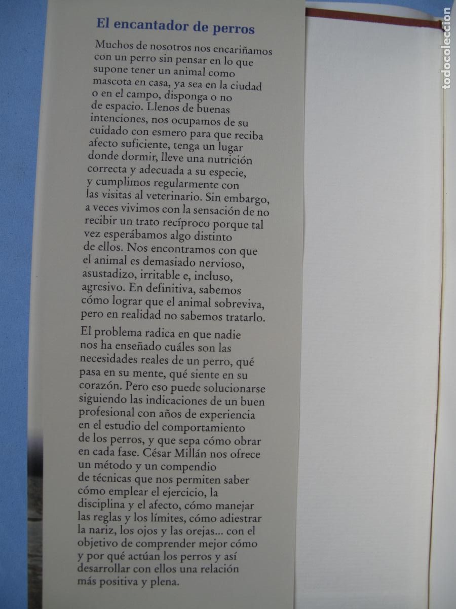 Libros: EL ENCANTADOR DE PERROS.- C&Eacute;SAR MILL&Aacute;N.- C&Iacute;RCULO DE LECTORES. 2008 - Foto 6