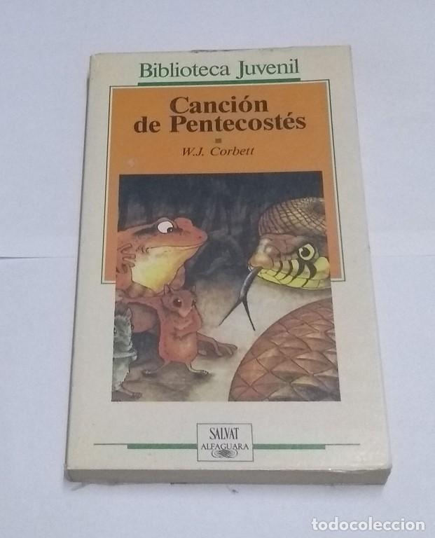 Libros: Canci&oacute;n de Pentecost&eacute;s - W. J. Corbett - Foto 1