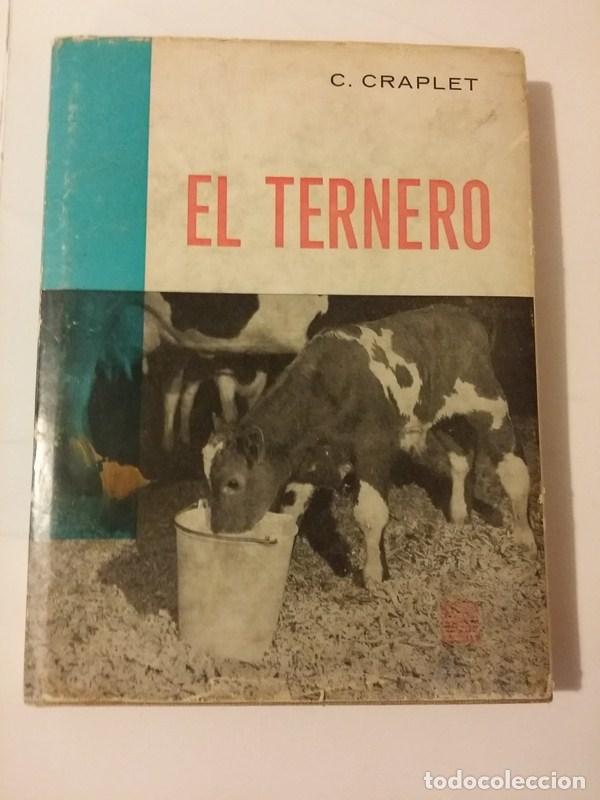 Libros: El ternero - C. Craplet - Foto 1