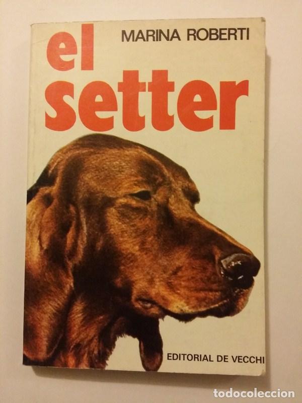 Libros: El setter - Marina Roberti - Foto 1