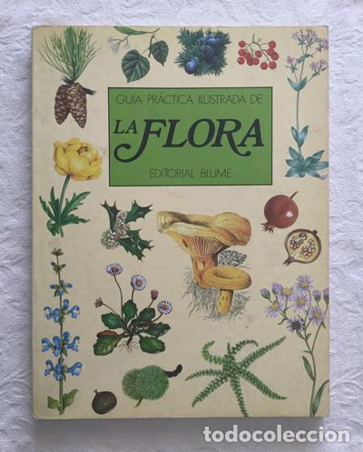 Libros: Gu&iacute;a pr&aacute;ctica ilustrada de La Flora - Foto 1