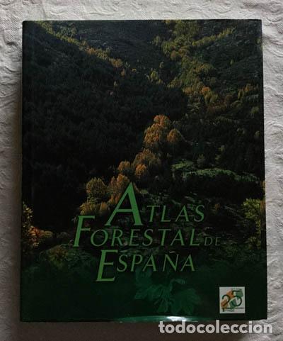 Libros: Atlas forestal de Espa&ntilde;a - Foto 1
