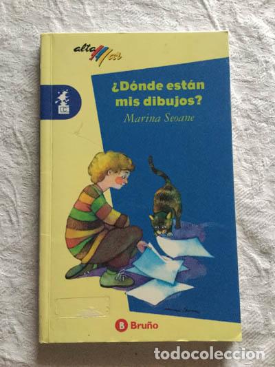 Libros: &iquest;D&oacute;nde est&aacute;n mis dibujos? - Mariana Seoane - Foto 1