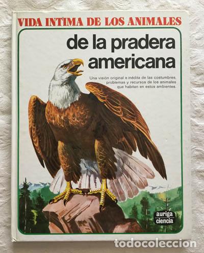 Libros: Vida intima de los animales de la pradera americana - Rinaldo D&acute;Ami - Foto 1