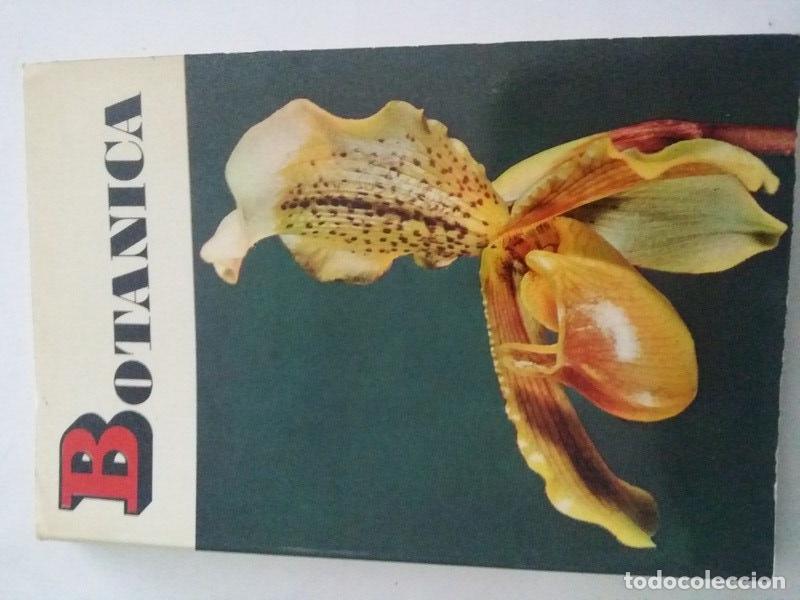 Libros: Botanica - Vv.AA - Foto 1