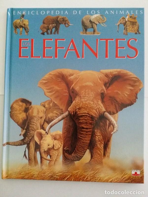 Libros: Los elefantes - Agnes Vandewiele - Foto 1