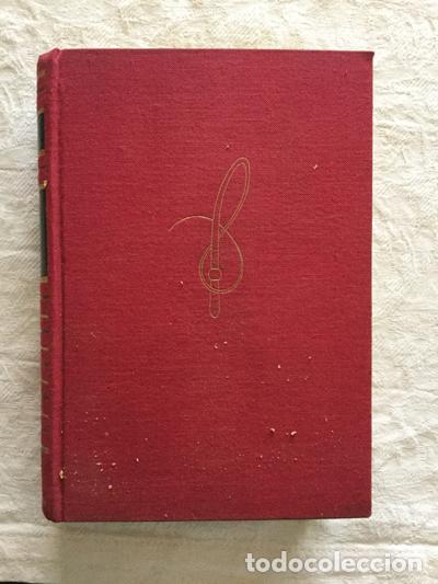 Libros: La estirpe de Kaywana - Edgar Mittelh&ouml;lzer - Foto 1