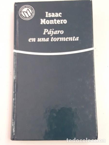 Libros: P&aacute;jaro en una tormenta - Isaac Montero - Foto 1