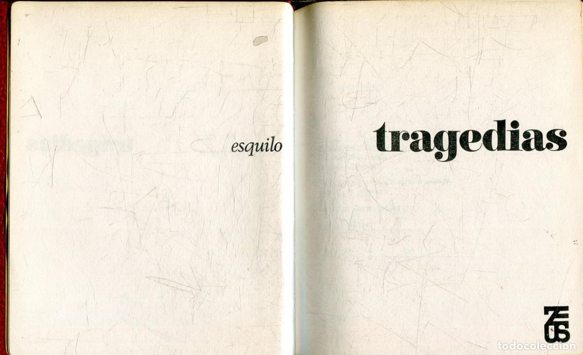 Libros: Esposa ideal - Judy blume - Foto 1