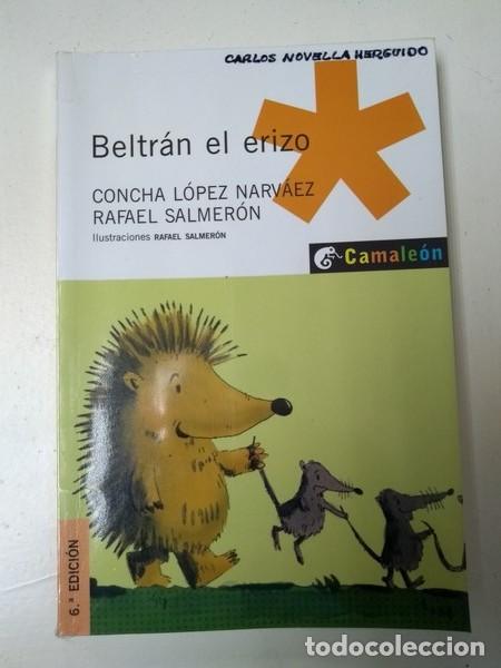 Libros: Beltran el erizo - Concha Lopez Narvaez. Rafael Salmeron - Foto 1