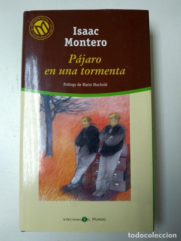 Libros: Pajaro en una tormenta - Isaac Montero - Foto 1