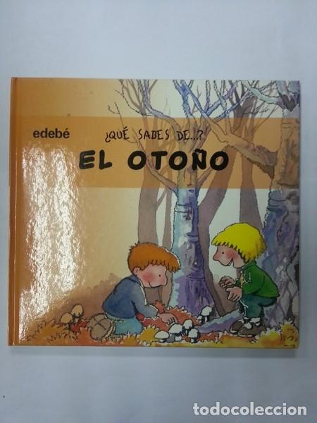 Libros: El Oto&ntilde;o - Nuria Roca. Rosa M. Curto - Foto 1