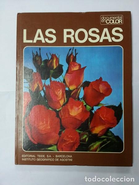 Libros: Las rosas - Claudia Binelli - Foto 1