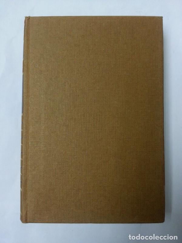 Libros: Los insaciables - Harold Robbins - Foto 1