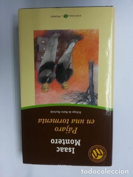 Libros: Pajaro en una tormenta - Isaac Montero - Foto 1