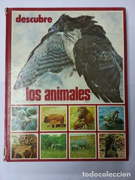 Libros: Descubre los animales - Foto 1