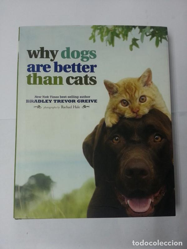 Libros: Why dogs are better than cats - Bradley Trevor Greive - Foto 1