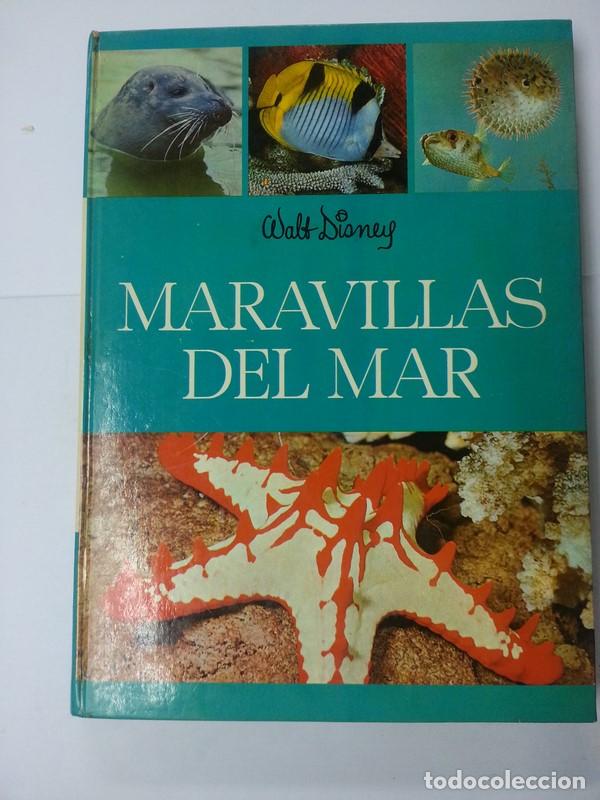 Libros: Maravillas del mar - Frank de Graaf - Foto 1