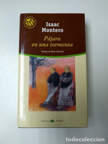 Libros: Pajaro en una tormenta - Isaac Montero - Foto 1