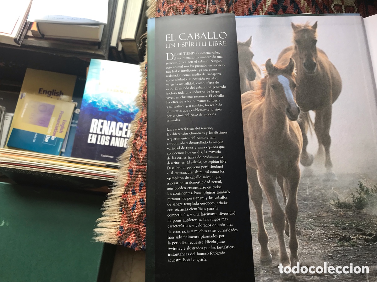 Libros: El caballo un esp&iacute;ritu libre. Buen estado - Foto 5