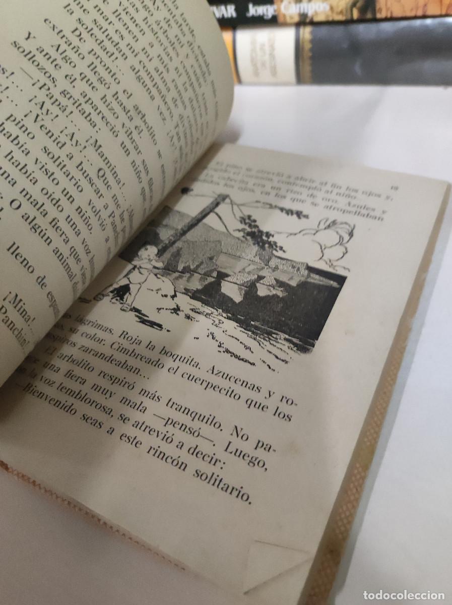 Libros: NUEVA RAZA. Lecturas para ni&ntilde;as. - Bolinaga. Josefina, - Foto 2