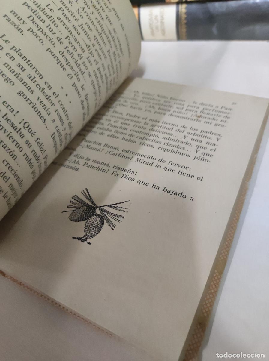 Libros: NUEVA RAZA. Lecturas para ni&ntilde;as. - Bolinaga. Josefina, - Foto 3