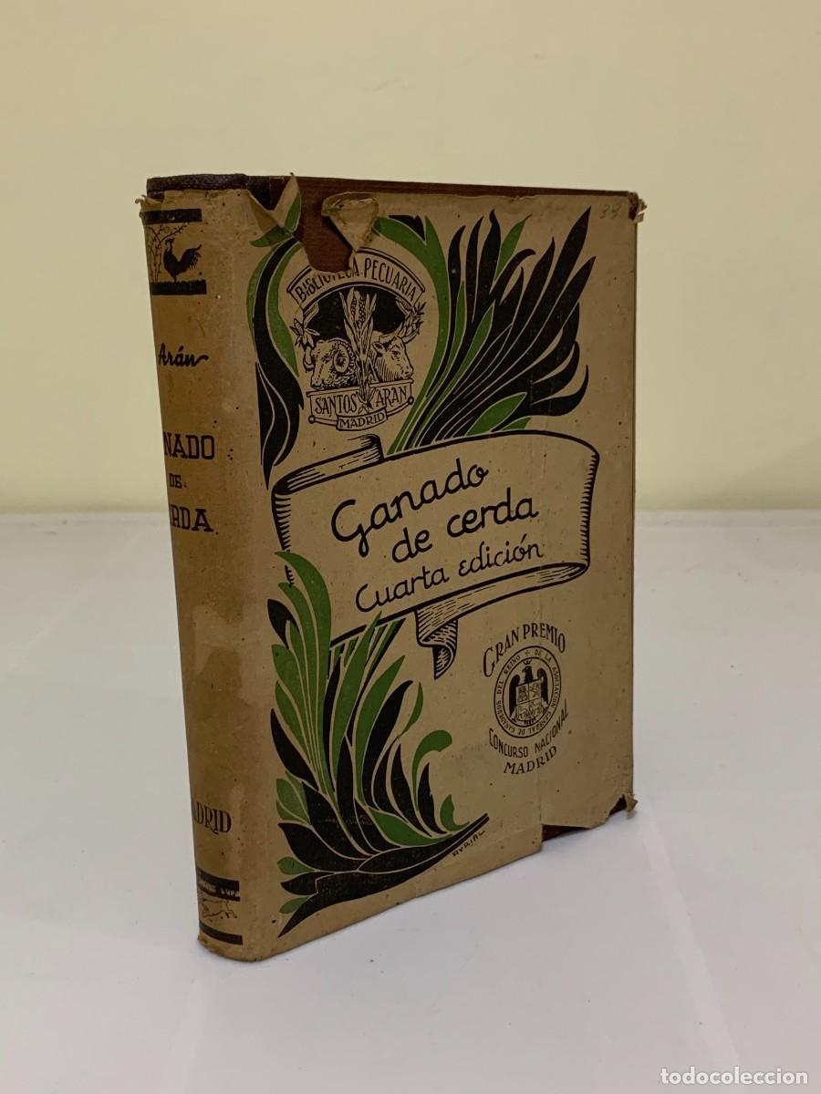 Libros: Ganader&iacute;a Pr&aacute;ctica Ganado de Cerda - Santos Ar&aacute;n - Foto 1