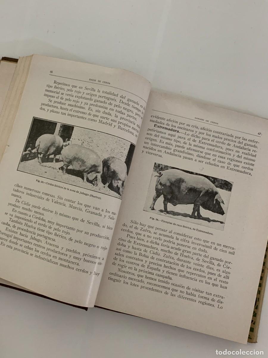 Libros: Ganader&iacute;a Pr&aacute;ctica Ganado de Cerda - Santos Ar&aacute;n - Foto 3