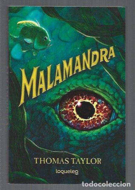 Libros: MALAMANDRA - TAYLOR, THOMAS - Foto 1