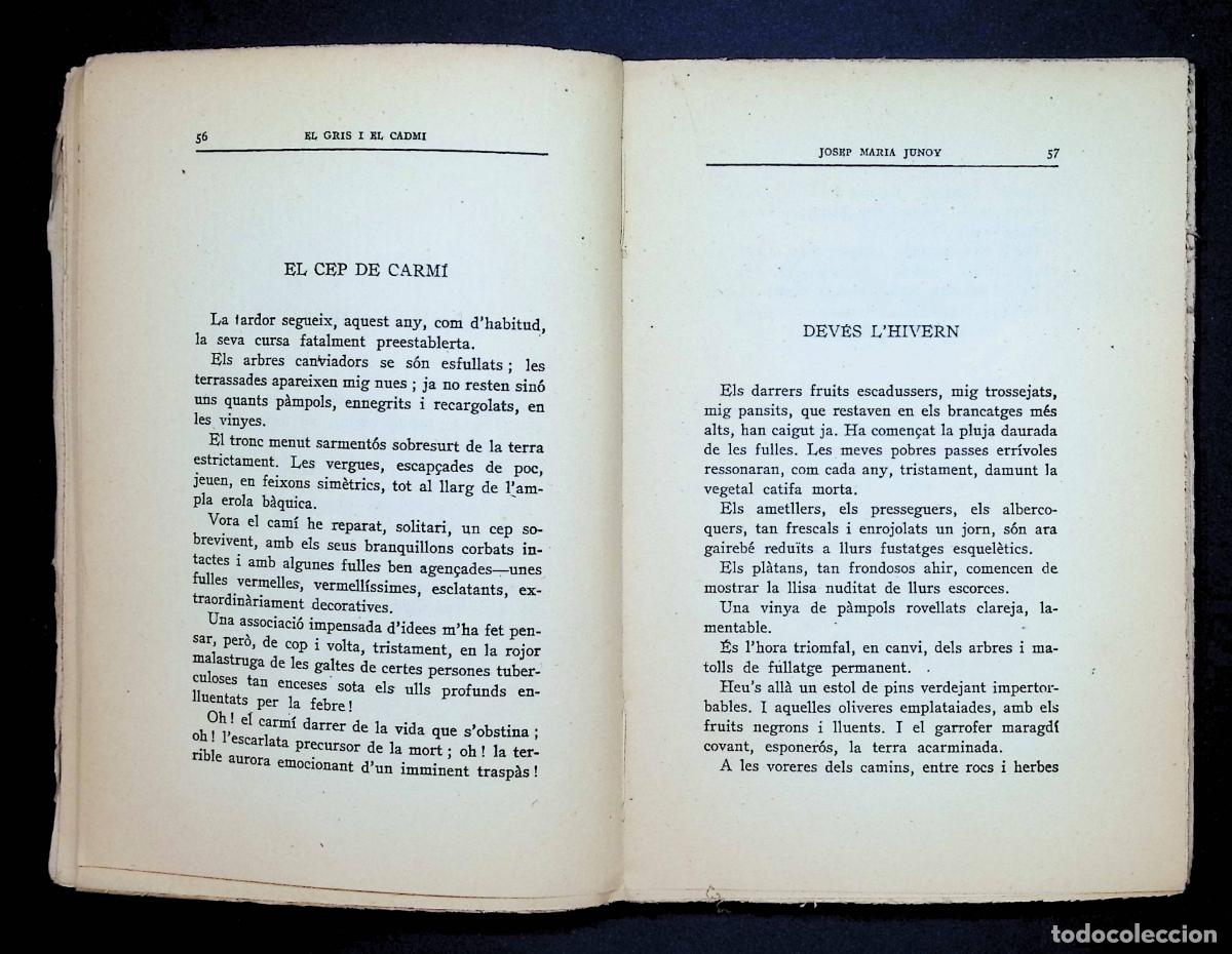 Libros: EL GRIS I EL CADMI. - JUNOY, Josep Maria. - Foto 3