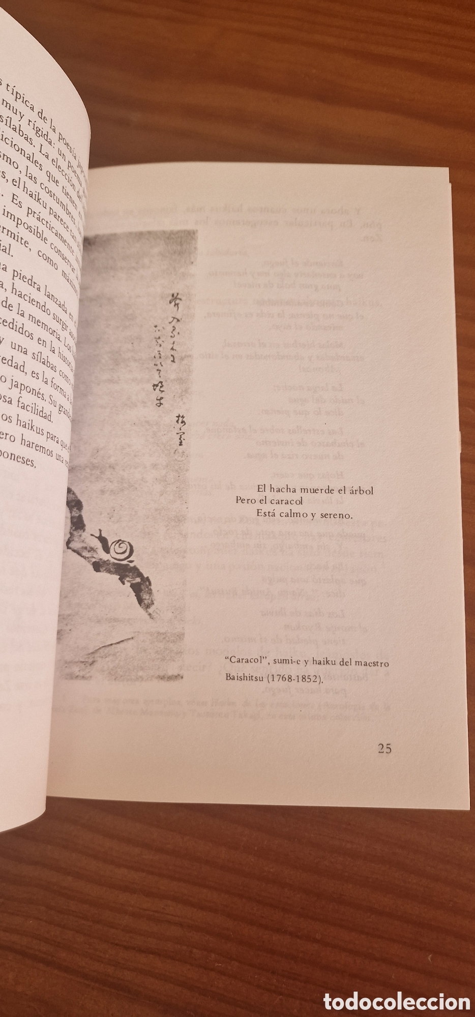 Libros: Sabi wabi zen, Raymond Thomas - Foto 5