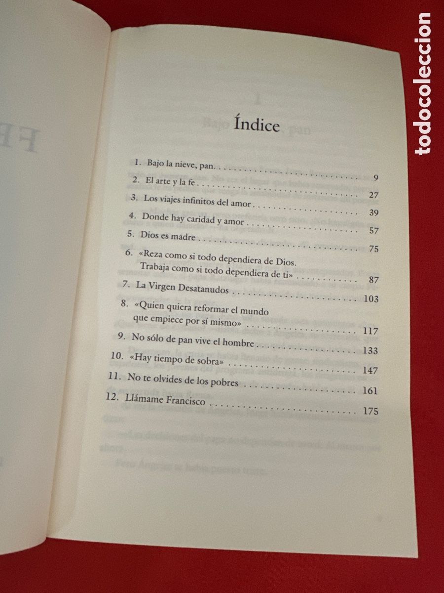 Libros: L&Aacute;MAME FRANCISCO - GIORGIO GRIGNAFFINI ( UNA VERSI&Oacute;N NOVELADA DE BERGOGLIO ) - Foto 4