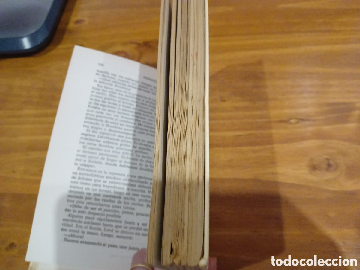 Libros: El enamorado de la Osa mayor - Foto 4