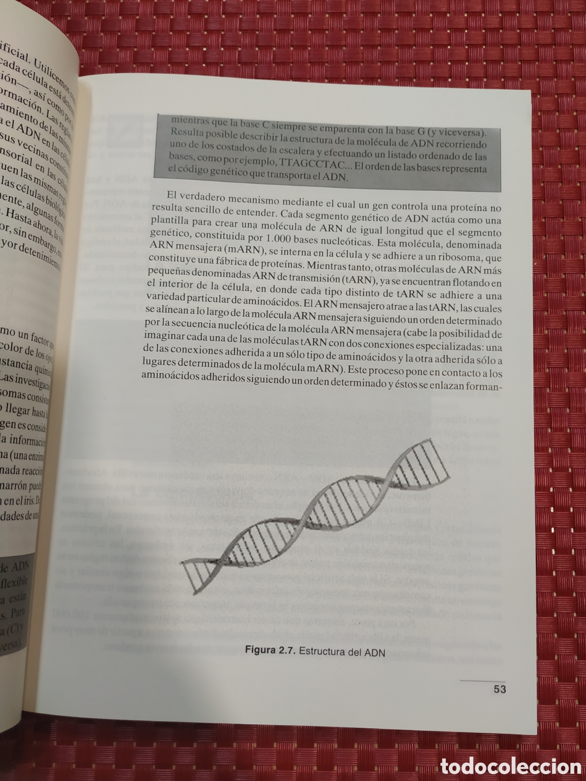 Libros: Vida artificial. La evoluci&oacute;n en la punta de sus dedos. Stephen Prata - Foto 3